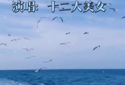 精品国产在线人人久久,人人久久，引领潮流的影视天堂